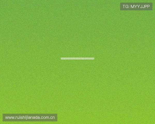 葡萄牙对乌兹别克斯坦的世界杯比赛地点及赛程安排全解析